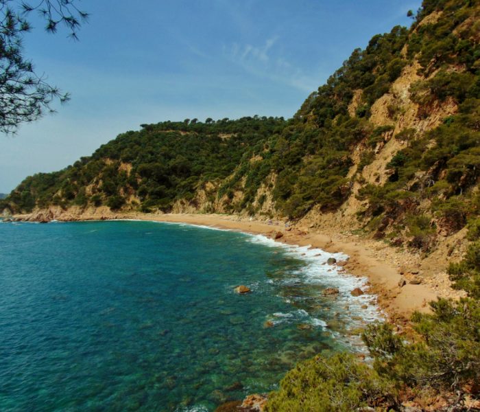 A mediterranean oasis – La cala del Sr. Ramón