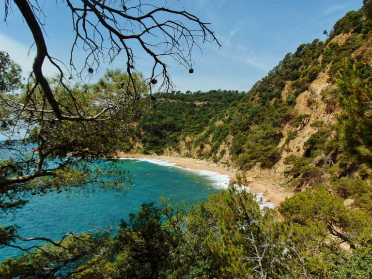 A mediterranean oasis - La cala del Sr. Ramón - Laid-back places